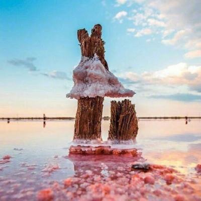 南宫28手机app下载